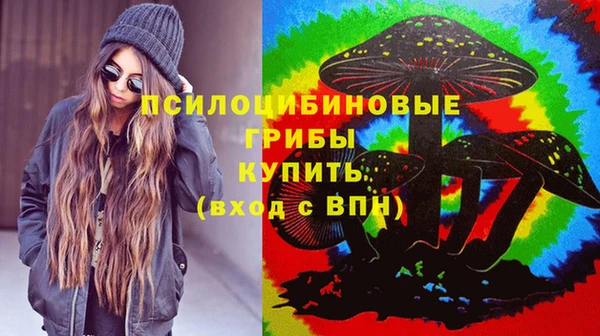 герыч Алексин