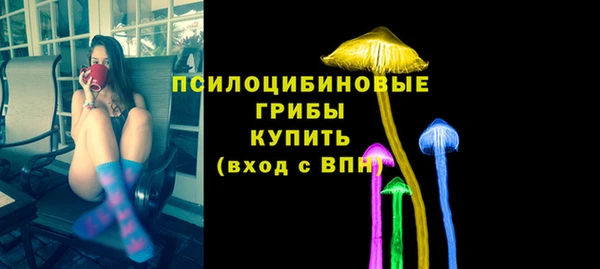 герыч Алексин