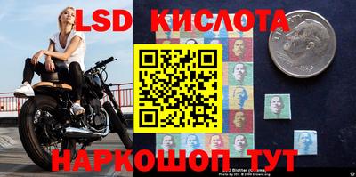 прущие крисы Тверь