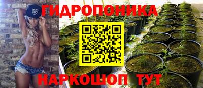 прущие крисы Тверь