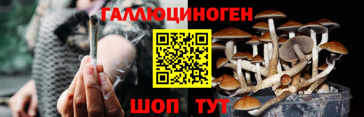 Слободской  Псилоцибиновые грибы Psilocybine cubensis  Псилоцибиновые грибы Magic Shrooms  Вход с VPN 
